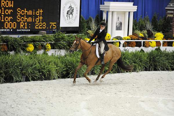 WIHS-10-20-09-DSC_0850-BusinessAsUsual-SophiaBednarik-DDeRosaPhoto.jpg