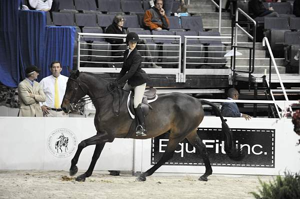 WIHS-10-23-09-WIHSJrEqHtr-DSC_8176-InPursuit-SamanthaSmith-DDeRosaPhoto.jpg