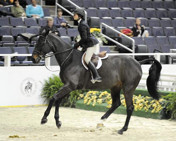 WIHS-10-23-09-WIHSJrEqHtr-DSC_8193-Ricochet-ReedKessler-DDeRosaPhoto.jpg