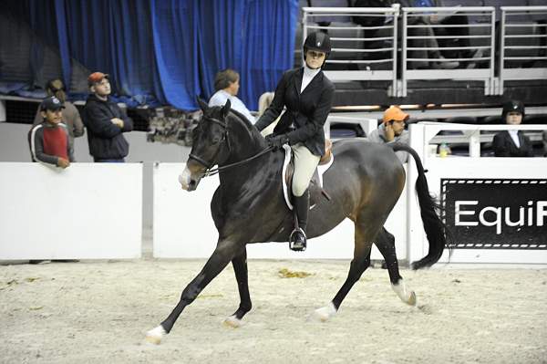 WIHS-10-23-09-WIHSJrEqHtr-DSC_8202-Prosecco24-PaulenaJohnson-DDeRosaPhoto.jpg