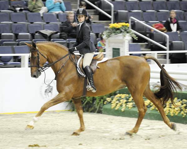 WIHS-10-23-09-WIHSJrEqHtr-DSC_8210-Rodin-ChristyDestefano-DDeRosaPhoto.jpg