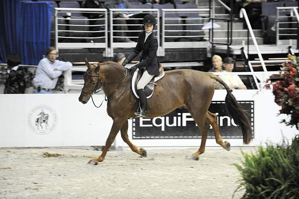 WIHS-10-23-09-WIHSJrEqHtr-DSC_8223-Agostino-KelseyHart-DDeRosaPhoto.jpg