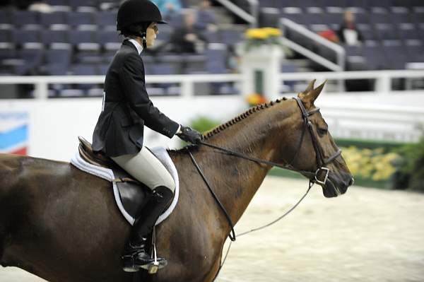 WIHS-10-23-09-WIHSJrEqHtr-DSC_8224-Agostino-KelseyHart-DDeRosaPhoto.jpg