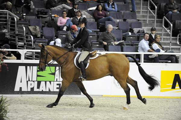 WIHS-10-23-09-WIHSJrEqHtr-DSC_8275-TheGeneral-MollyBraswell-DDeRosaPhoto.jpg