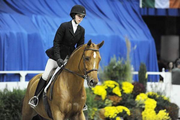 WIHS-10-23-09-WIHSJrEqHtr-DSC_8365-Ivy-ZazouHoffman-DDeRosaPhoto.jpg