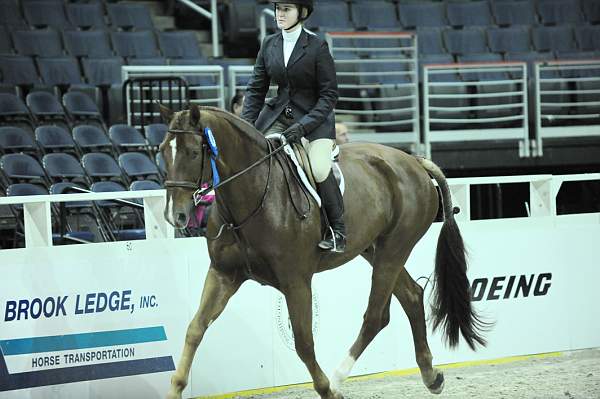 WIHS-10-23-09-WIHSJrEqHtr-DSC_8410-Travino-SamanthaSchaefer-DDeRosaPhoto.jpg