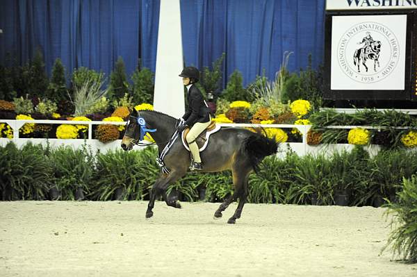 WIHS-10-24-09-Cl185WIHSPnyEqFinals-DER_8351-Tango-MadelynKeck-DDeRosaPhoto.jpg