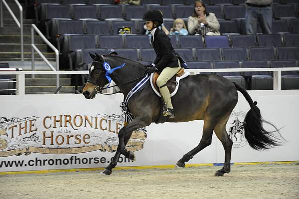 WIHS-10-24-09-Cl185WIHSPnyEqFinals-DER_8356-Tango-MadelynKeck-DDeRosaPhoto.jpg