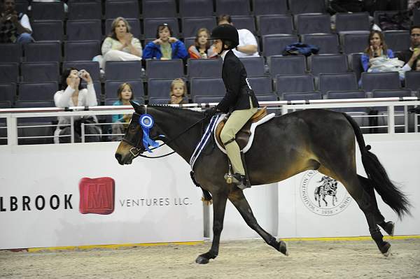 WIHS-10-24-09-Cl185WIHSPnyEqFinals-DER_8357-Tango-MadelynKeck-DDeRosaPhoto.jpg