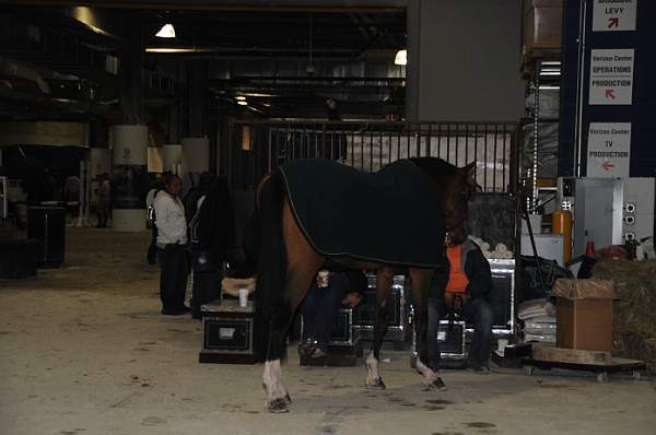 WIHS-10-22-09-048-Setup-DDeRosaPhoto.jpg