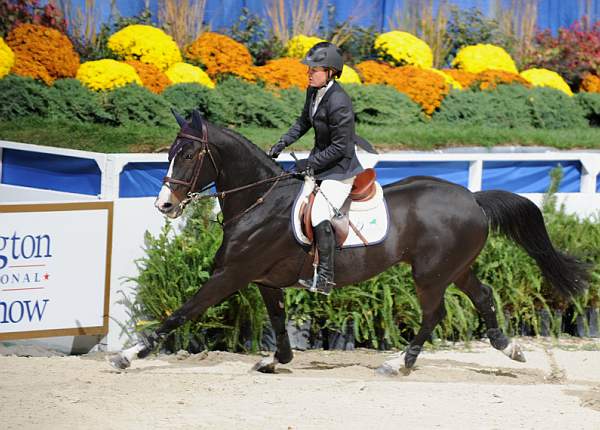 10-24-08-WIHS-327-StLaurent-LaurenHough-DeRosaPhoto.jpg