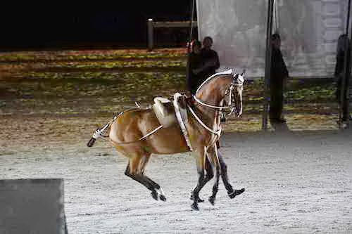 WEG-8-23-14-OpenCeremony-0003080-DDeRosaPhoto