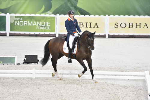 WEG-Dressage-8-25-14-GPTeam-0003702-DierderikvanSilfhout-ArlandoNHNOP-NED-DDeRosaPhoto