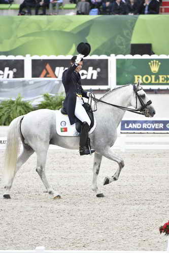 WEG-Dressage-8-25-14-GPTeam-0004219-ManuelVeiga-BenHurDaBroa-POR-DDeRosaPhoto