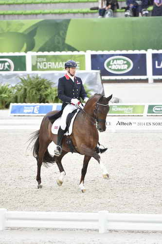 WEG-Dressage-8-25-14-GPTeam-0004378-GarethHughes-DVStenkjersNadonna-GBR-DDeRosaPhoto