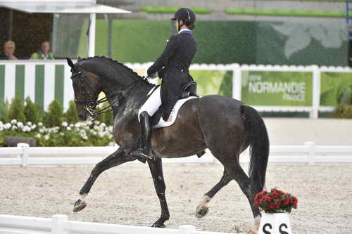 WEG-Dressage-8-25-14-GPTeam-0005993-AdrienneLyle-Wizard-USA-DDeRosaPhoto