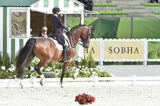 WEG1-Dressage-8-26-14-GPTeam-0007694-LauraGraves-Verdades-USA-DDeRosaPhoto