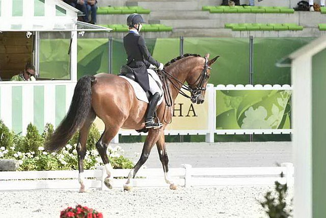 WEG1-Dressage-8-26-14-GPTeam-0007718-LauraGraves-Verdades-USA-DDeRosaPhoto