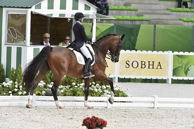 WEG1-Dressage-8-26-14-GPTeam-0007736-LauraGraves-Verdades-USA-DDeRosaPhoto