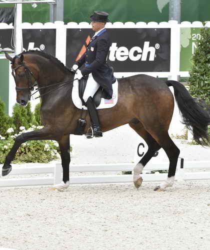 WEG1-Dressage-8-26-14-GPTeam-0009226-SteffenPeters-Legolas92-USA-DDeRosaPhoto-Vert