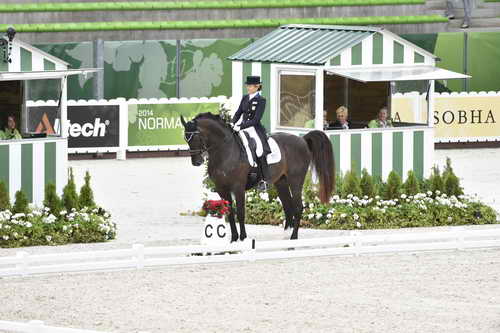 WEG-Dressage-8-25-14-GPTeam-0003867-TinaKonyot-CalectoV-USA-DDeRosaPhoto