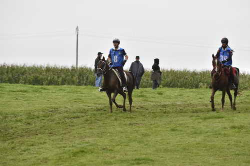 WEG-EnduranceRace-8-28-14-0001242-DDeRosaPhoto