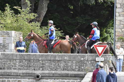 WEG-EnduranceRace-8-28-14-0002903-DDeRosaPhoto