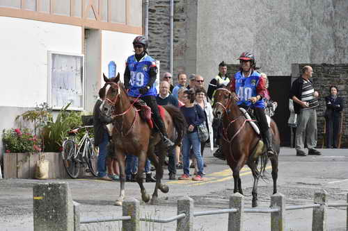 WEG-EnduranceRace-8-28-14-0002930-DDeRosaPhoto