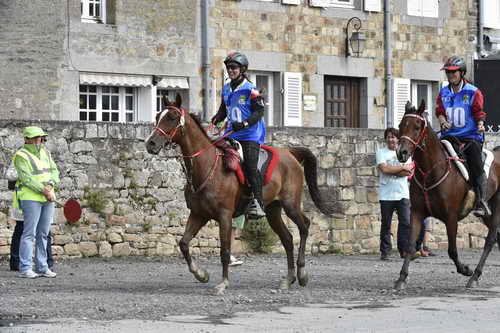 WEG-EnduranceRace-8-28-14-0002944-DDeRosaPhoto