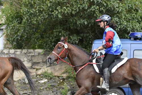 WEG-EnduranceRace-8-28-14-0002961-DDeRosaPhoto