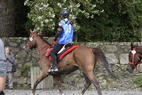 WEG-EnduranceRace-8-28-14-0002963-DDeRosaPhoto