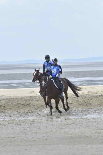 WEG-EnduranceRace-8-28-14-0004241-DDeRosaPhoto