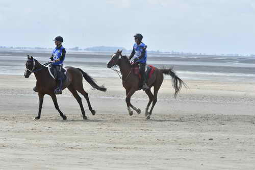 WEG-EnduranceRace-8-28-14-0004260-DDeRosaPhoto