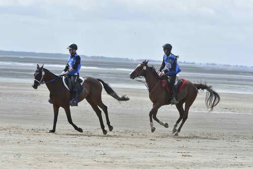 WEG-EnduranceRace-8-28-14-0004264-DDeRosaPhoto