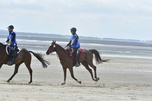 WEG-EnduranceRace-8-28-14-0004265-DDeRosaPhoto