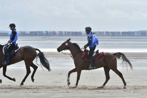 WEG-EnduranceRace-8-28-14-0004270-DDeRosaPhoto