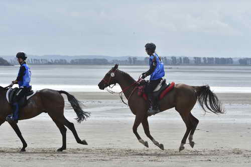 WEG-EnduranceRace-8-28-14-0004272-DDeRosaPhoto