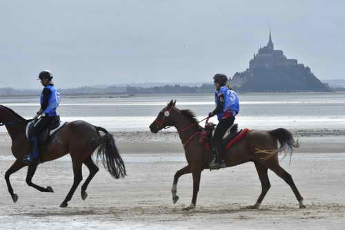 WEG-EnduranceRace-8-28-14-0004283-DDeRosaPhoto