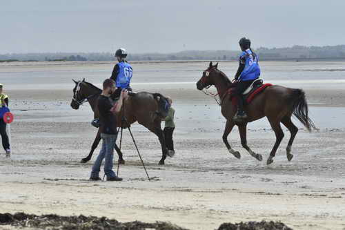 WEG-EnduranceRace-8-28-14-0004293-DDeRosaPhoto