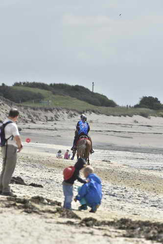 WEG-EnduranceRace-8-28-14-0004306-DDeRosaPhoto