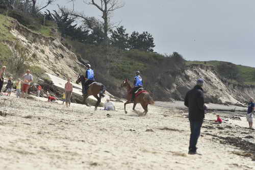 WEG-EnduranceRace-8-28-14-0004307-DDeRosaPhoto