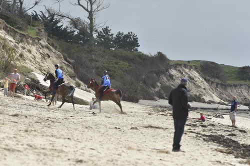 WEG-EnduranceRace-8-28-14-0004309-DDeRosaPhoto