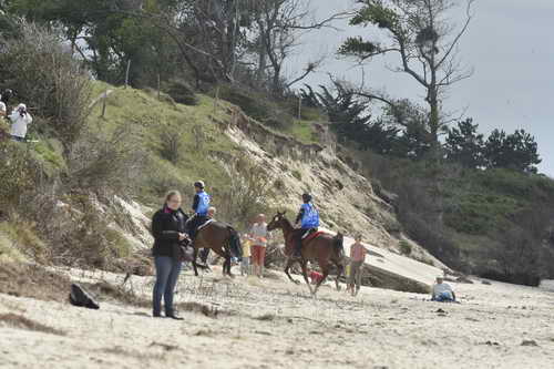 WEG-EnduranceRace-8-28-14-0004314-DDeRosaPhoto