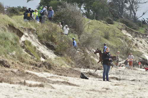 WEG-EnduranceRace-8-28-14-0004316-DDeRosaPhoto