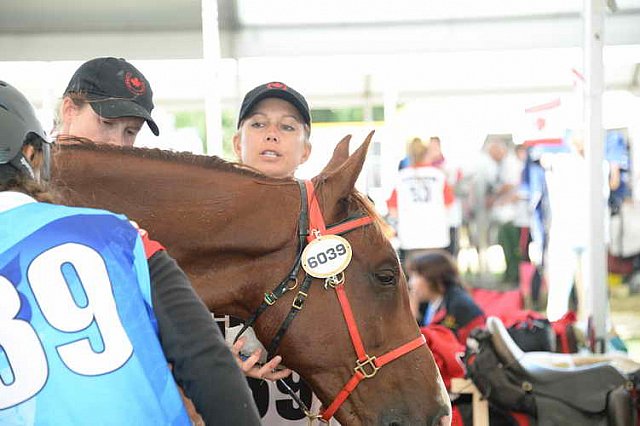 WEG2-Endurance-8-28-14-6645-DDeRosaPhoto