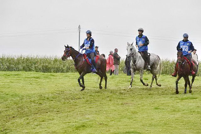 WEG-EnduranceRace-8-28-14-0001289-DDeRosaPhoto