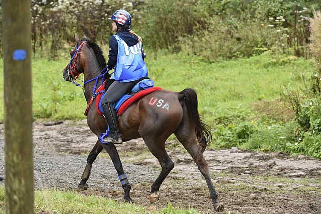 WEG-EnduranceRace-8-28-14-0001346-DDeRosaPhoto