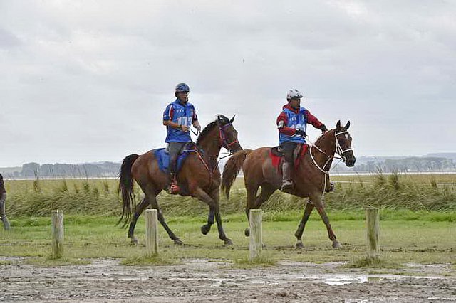 WEG-EnduranceRace-8-28-14-0002201-DDeRosaPhoto