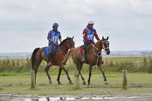 WEG-EnduranceRace-8-28-14-0002207-DDeRosaPhoto