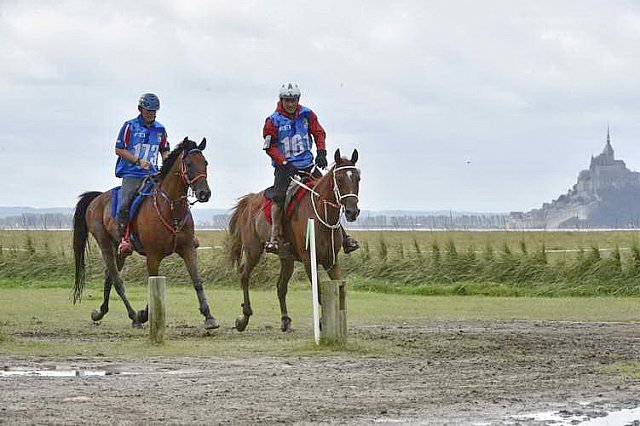 WEG-EnduranceRace-8-28-14-0002210-DDeRosaPhoto